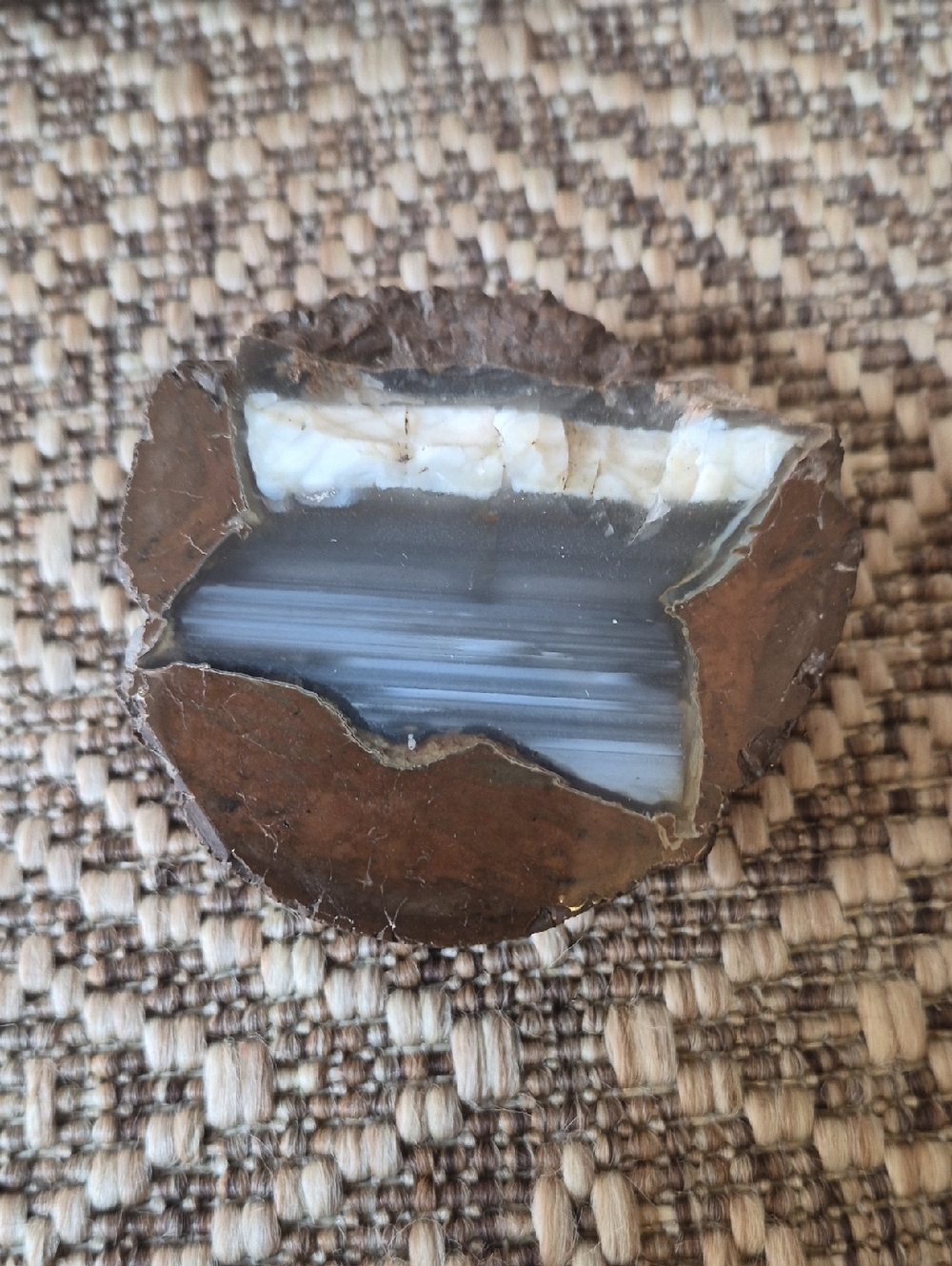 Polished Agate Slice Display Piece in White and Blue